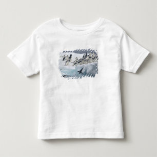 T-shirts Antártida, Ilha Paulet. Pinguins Adelie