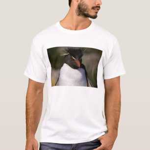 T-shirts Antártida, Ilhas Subantárticas, Sul 5