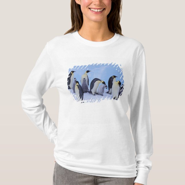 T-shirts Antártida, Pinguins Imperadores (Frente)