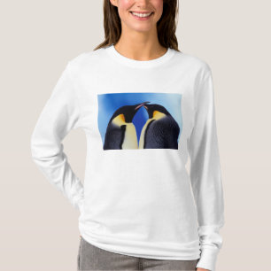 T-shirts Antártida, Pinguins Imperadores