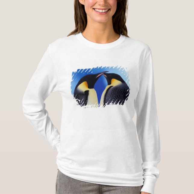 T-shirts Antártida, Pinguins Imperadores (Frente)