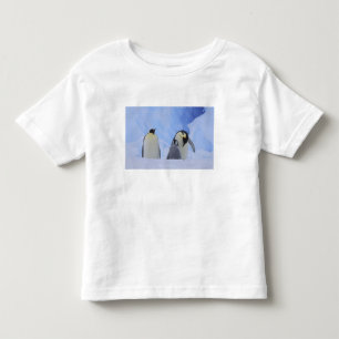 T-shirts Antártida. Pinguins-imperadores e filhote