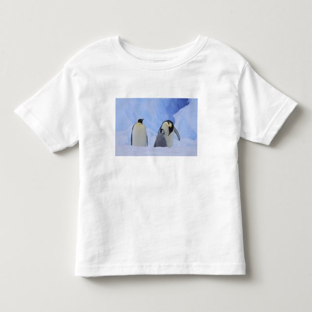 T-shirts Antártida. Pinguins-imperadores e filhote (Frente)