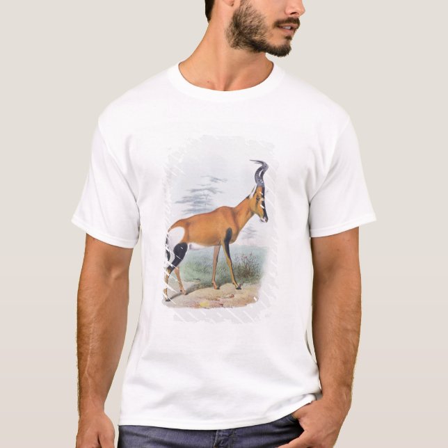 T-shirts Antílope, "do livro dos antílopes", (Frente)