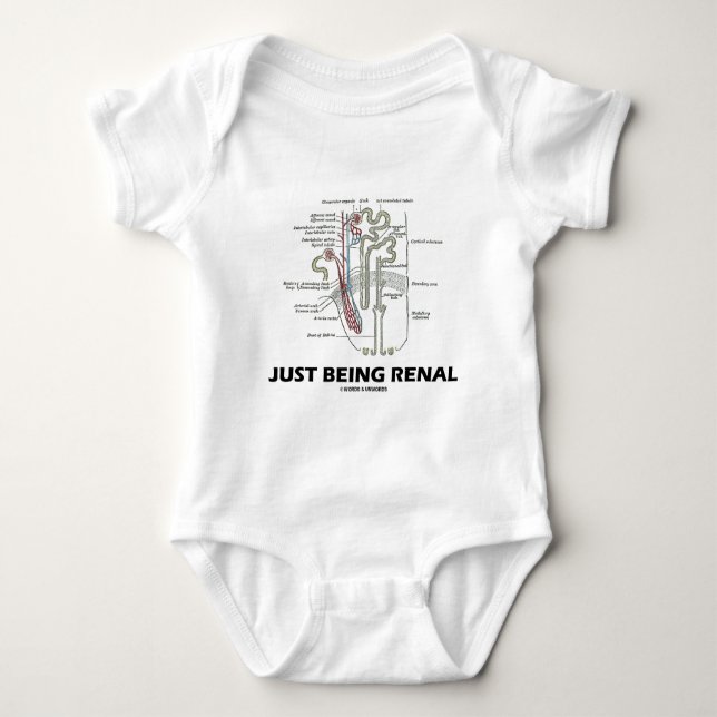 T-shirts Apenas sendo renal (rim Nephron) (Frente)