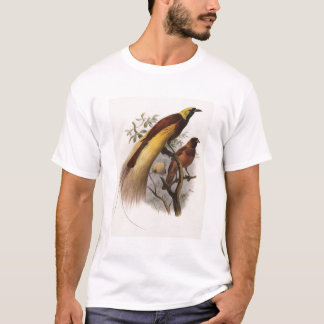 T-shirts Apoda de Elliot - de Paradisea - maior pássaro de
