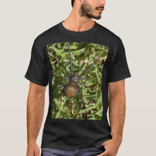 T-shirts Aranha Redback Sobre Grama Verde,
