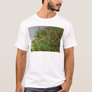 T-SHIRTS ARCO-ÍRIS LORIKEET QUEENSLAND RURAL AUSTRÁLIA