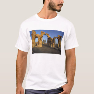 T-shirts Arco Monumental, Palmira, Homs, Síria