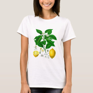 T-shirts Arte 7 botânica do impressão não do limão dos