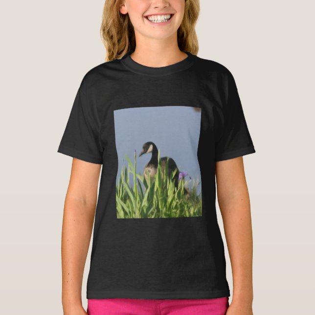 T-shirts Arte Animal Íris de Ganso do Canadá  (Frente)