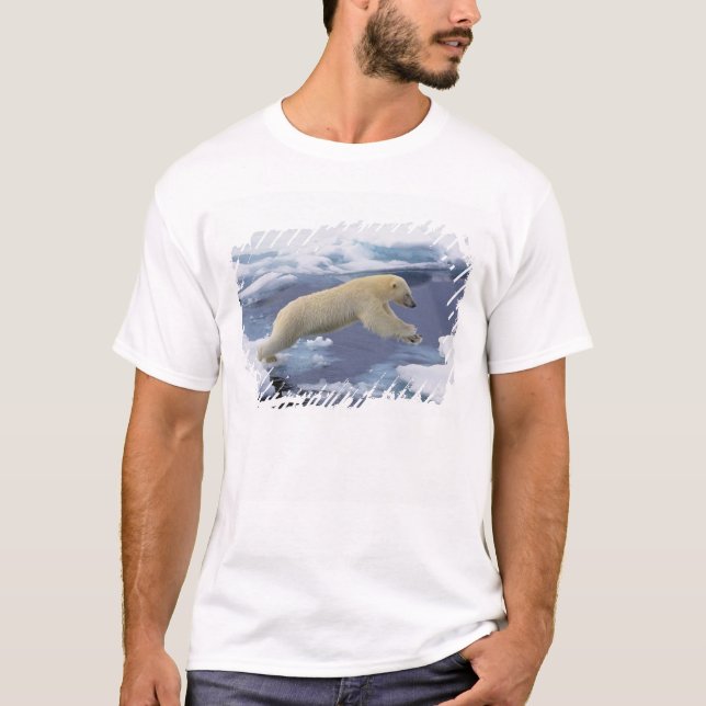 T-shirts Ártico, Svalbard, Urso Polar estendendo (Frente)
