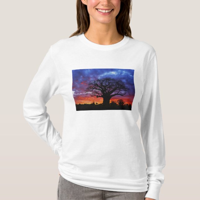 T-shirts Árvore baobá africana, Adansonia digitata, 2 (Frente)
