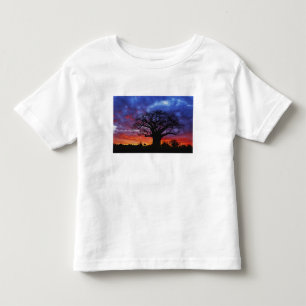 T-shirts Árvore baobá africana, Adansonia digitata, 2