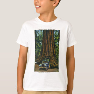 T-shirts Árvore grande Wawona, bosque de Mariposa, CA