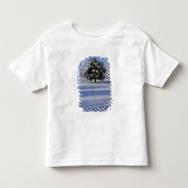 T-shirts Árvore na paisagem coberto de neve (Frente)