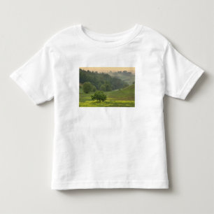 T-shirts Árvore solitária em campo agrícola, Toscana,