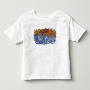 T-shirts Árvores de Aspen em cores de outono, Montanhas Big