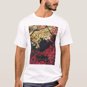 T-shirts Árvores de bordo em cor de outono