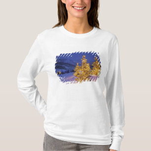 T-shirts Árvores de Natal, Park City, montanhas de Wastch,