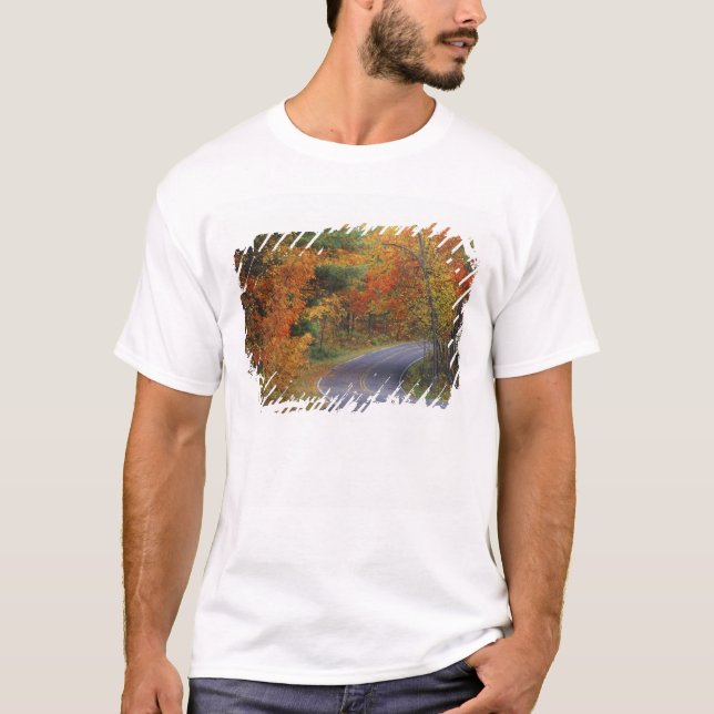 T-shirts Árvores de outono alinham a estrada no Parque Esta (Frente)