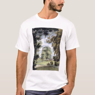 T-shirts As árvores da irmã, Kew jardinam, chapeiam 8 'de