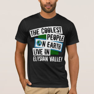 T-shirts As Pessoas mais legais da Terra vivem no Vale do E