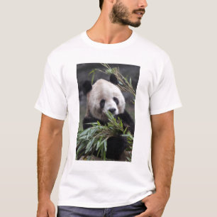 T-shirts Ásia, China Chongqing. Panda Gigante