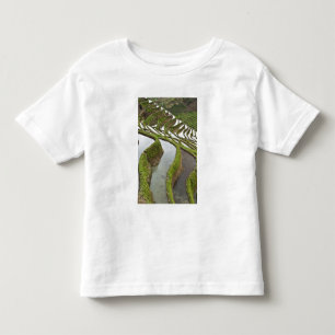 T-shirts Ásia, China, Yunnan, Yuanyang. Arroz inundado