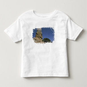 T-shirts Ásia, Iêmen, Wadi Dhar. Palácio de Rocha, ou Dar A