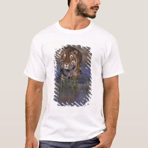 T-shirts ASIA, Índia Tigre caminhando pela água