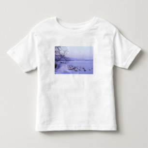T-shirts Ásia, Japão, Hokkaido, Parque Nacional Akan, Cisne