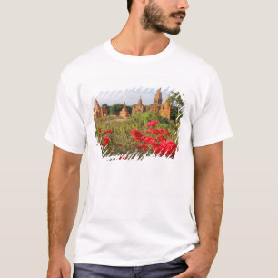 T-shirts Ásia, Mianmar (Birmânia), Bagan (Pagan). Um Bagan