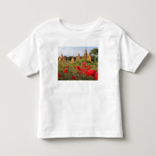 T-shirts Ásia, Mianmar (Birmânia), Bagan (Pagan). Um Bagan