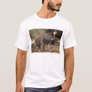 T-shirts Ásia, Tailândia, Lampang Curvando-se com chapéu - 