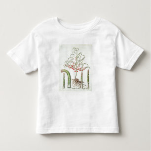 T-shirts Aspargo comum na flor e na fruta, do 'Ho