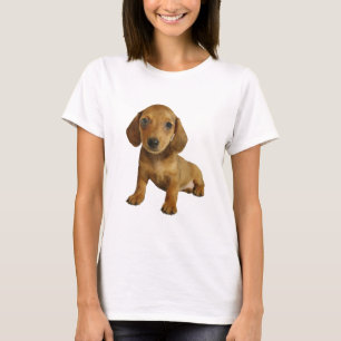 T-shirts Assento bonito do filhote de cachorro do Dachshund