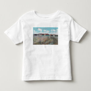 T-shirts Aterra a vista do Hospital Geral, Presidio