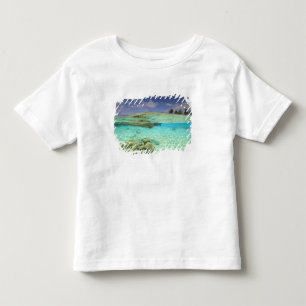 T-shirts Atol Sul de Huvadhoo, Maldivas do Sul, Oceano Índi
