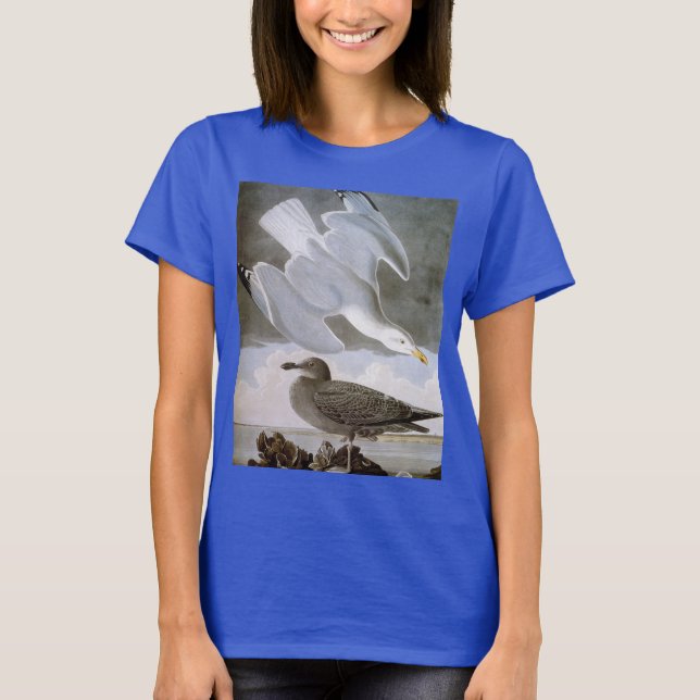 T-shirts Audubon: Arenque gaivota (Frente)