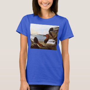 T-shirts Audubon: Canvasback