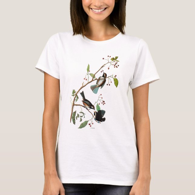 T-shirts Audubon: Chickadee (Frente)