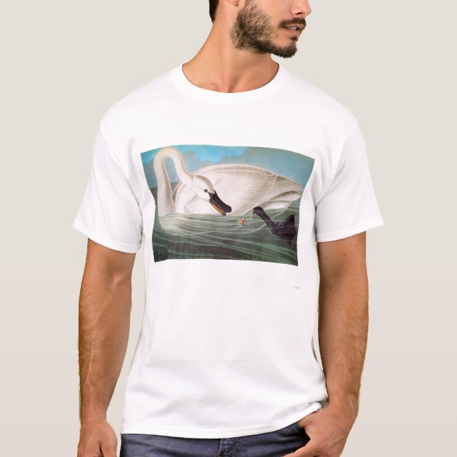 T-shirts Audubon: Cisne de trompetista (Frente)