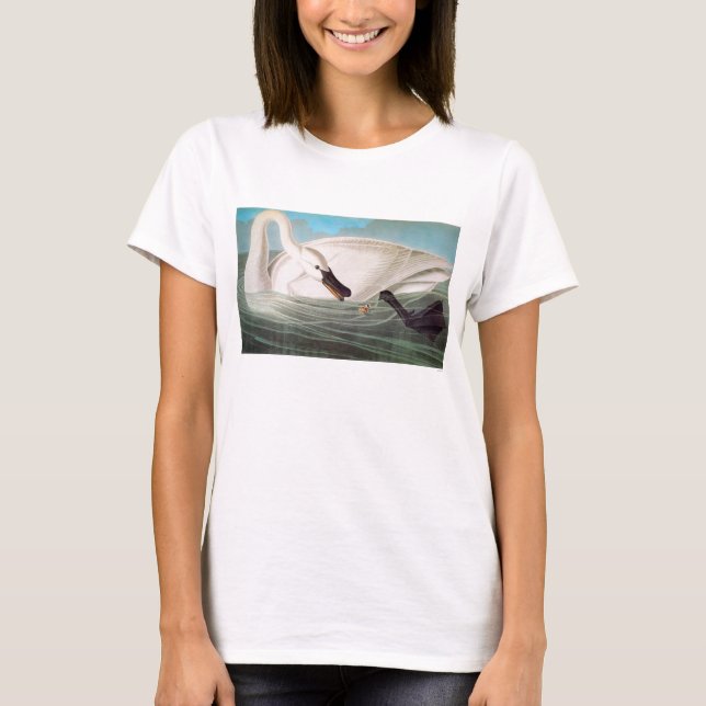 T-shirts Audubon: Cisne de trompetista (Frente)