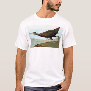 T-shirts Audubon: Limpkin