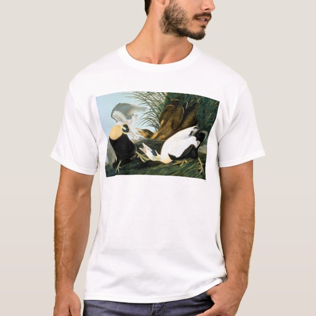 T-shirts Audubon: Pato de êider (Frente)