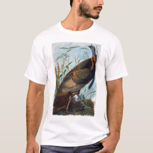 T-shirts Audubon: Turquia selvagem