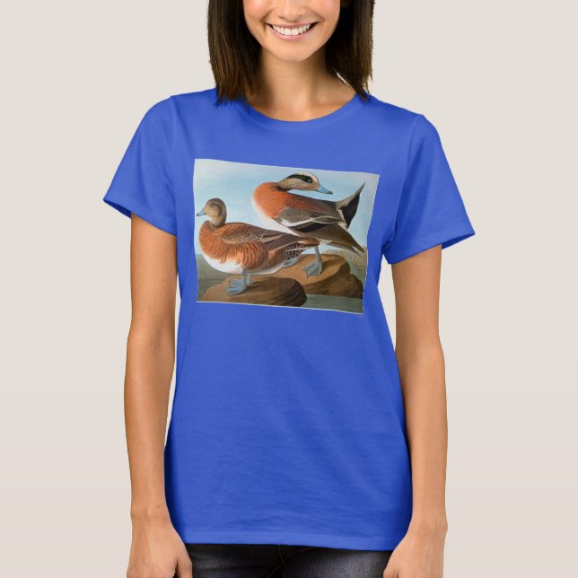 T-shirts Audubon: Wigeon (Frente)