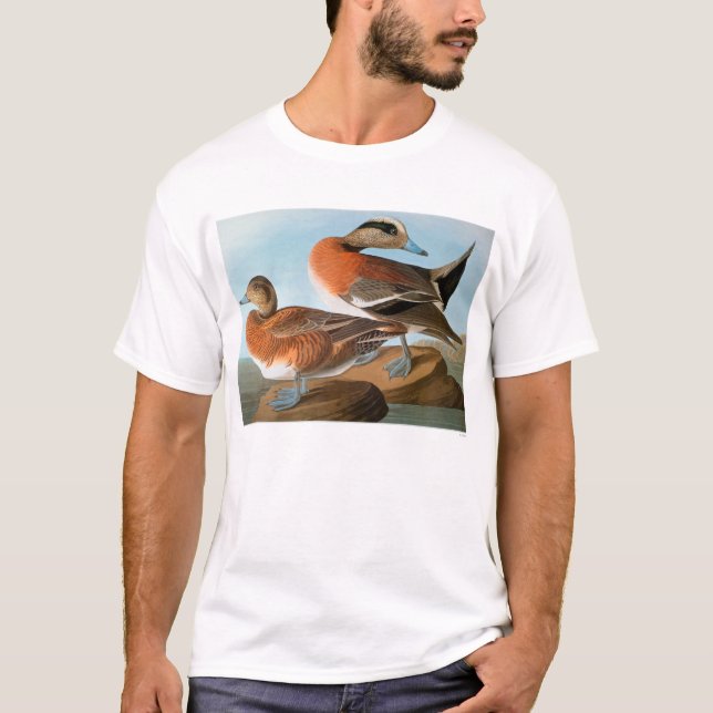 T-shirts Audubon: Wigeon (Frente)