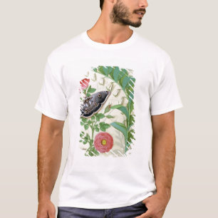 T-shirts Aumentou e o Polygonatum